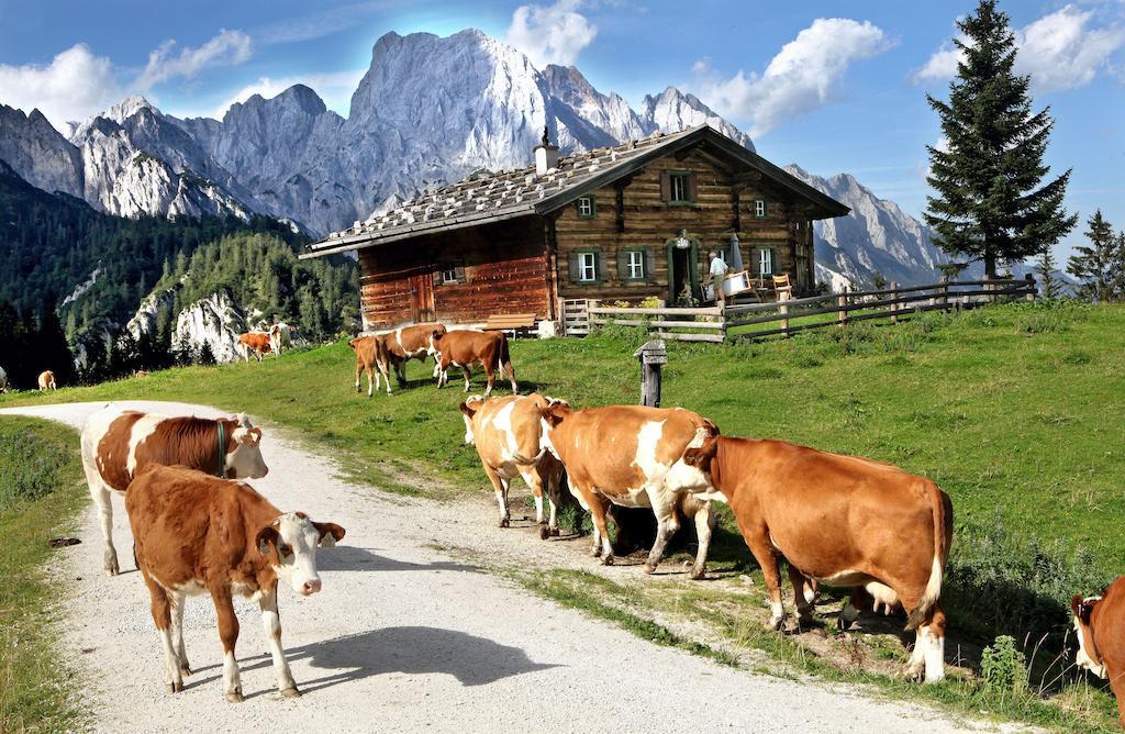 Ferienwohnungen Schweinoester Lofer Exterior photo